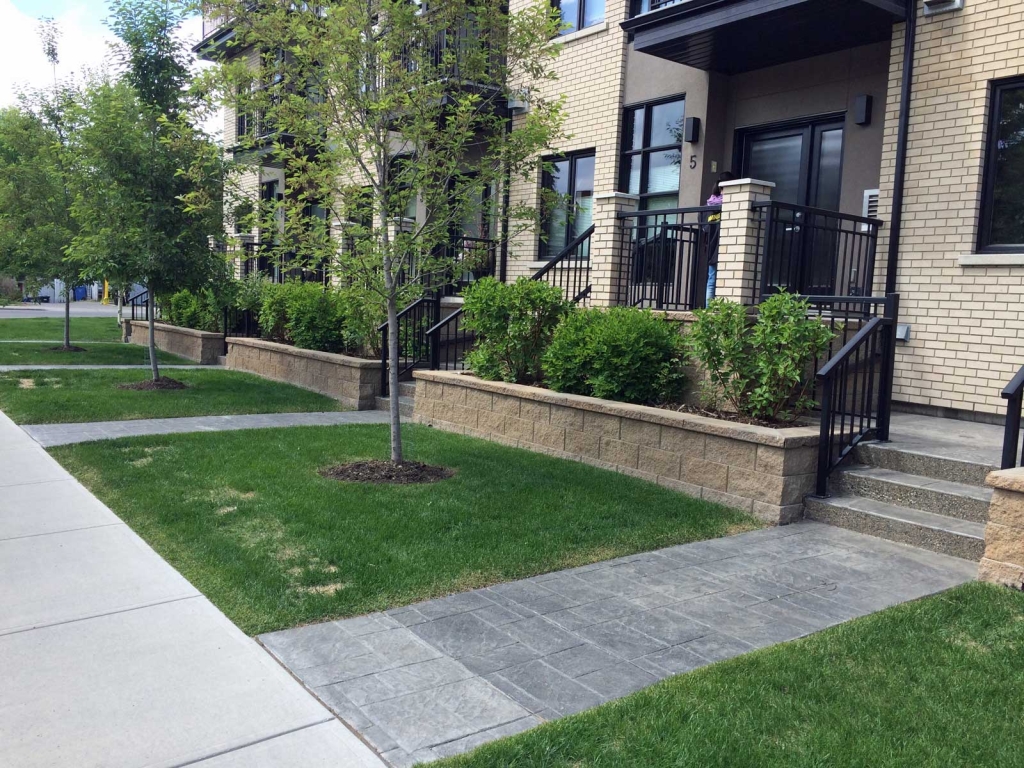 Modern Wood Retaining Wall