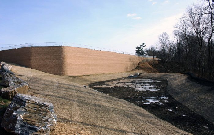 Plaza Centro Retaining Wall with Dry Pond