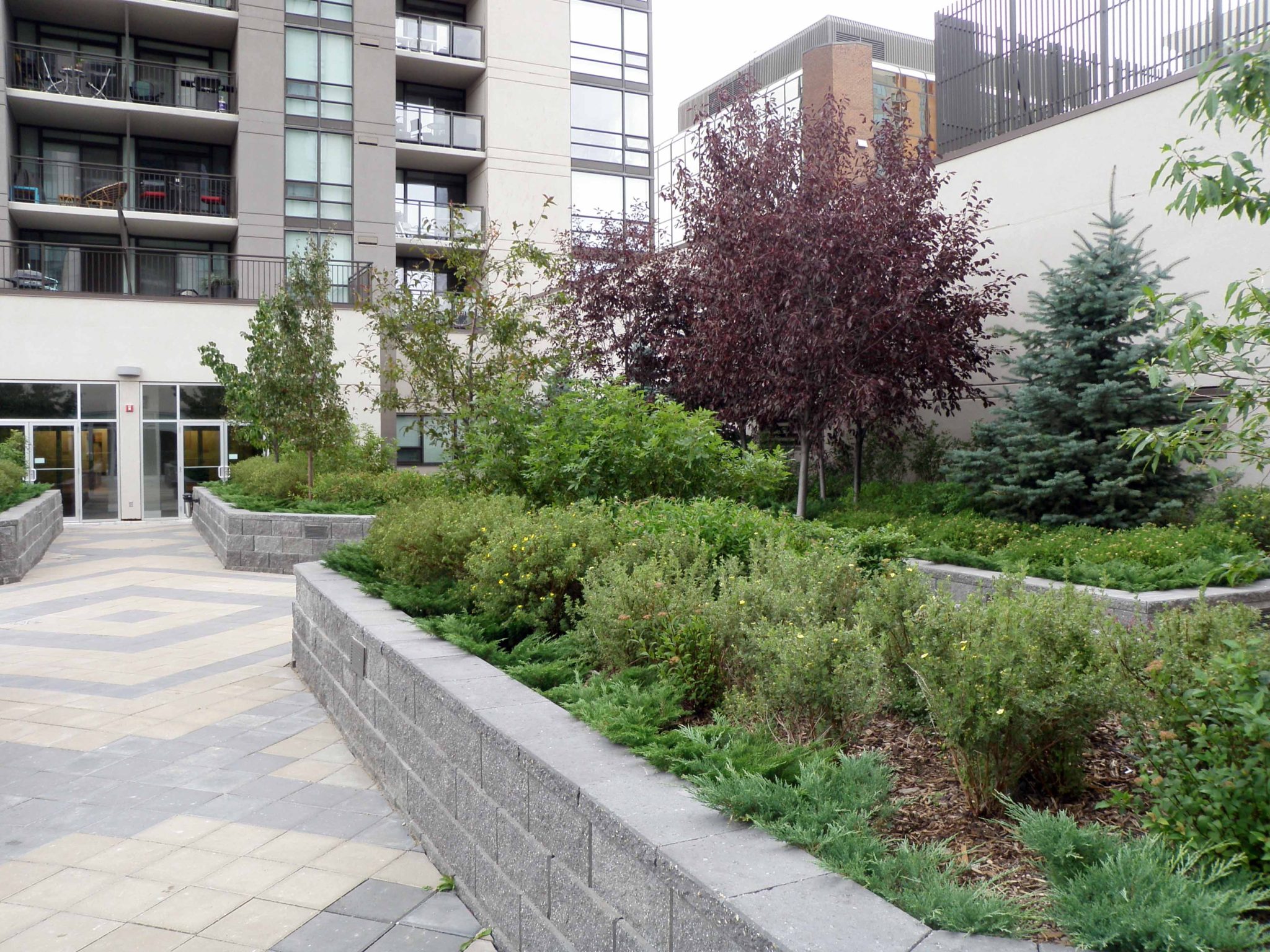 CornerStone retaining wall environmentally friendly green roof
