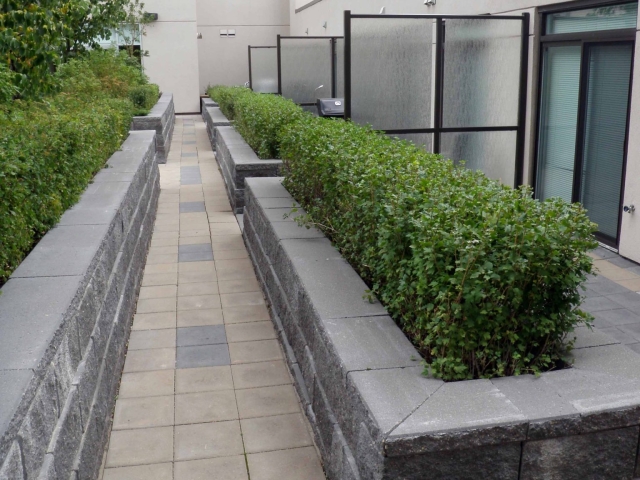Retaining wall pathway on green roof in Calgary