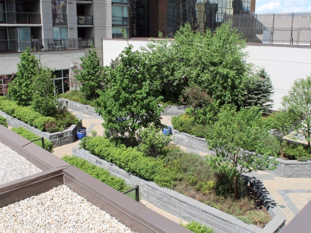 Retaining walls help build canopy of greenery for rooftop